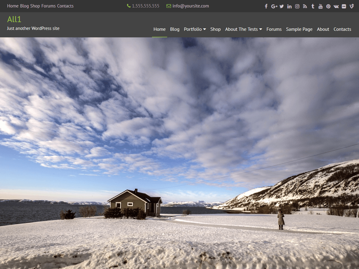 All1 - Free WordPress Theme