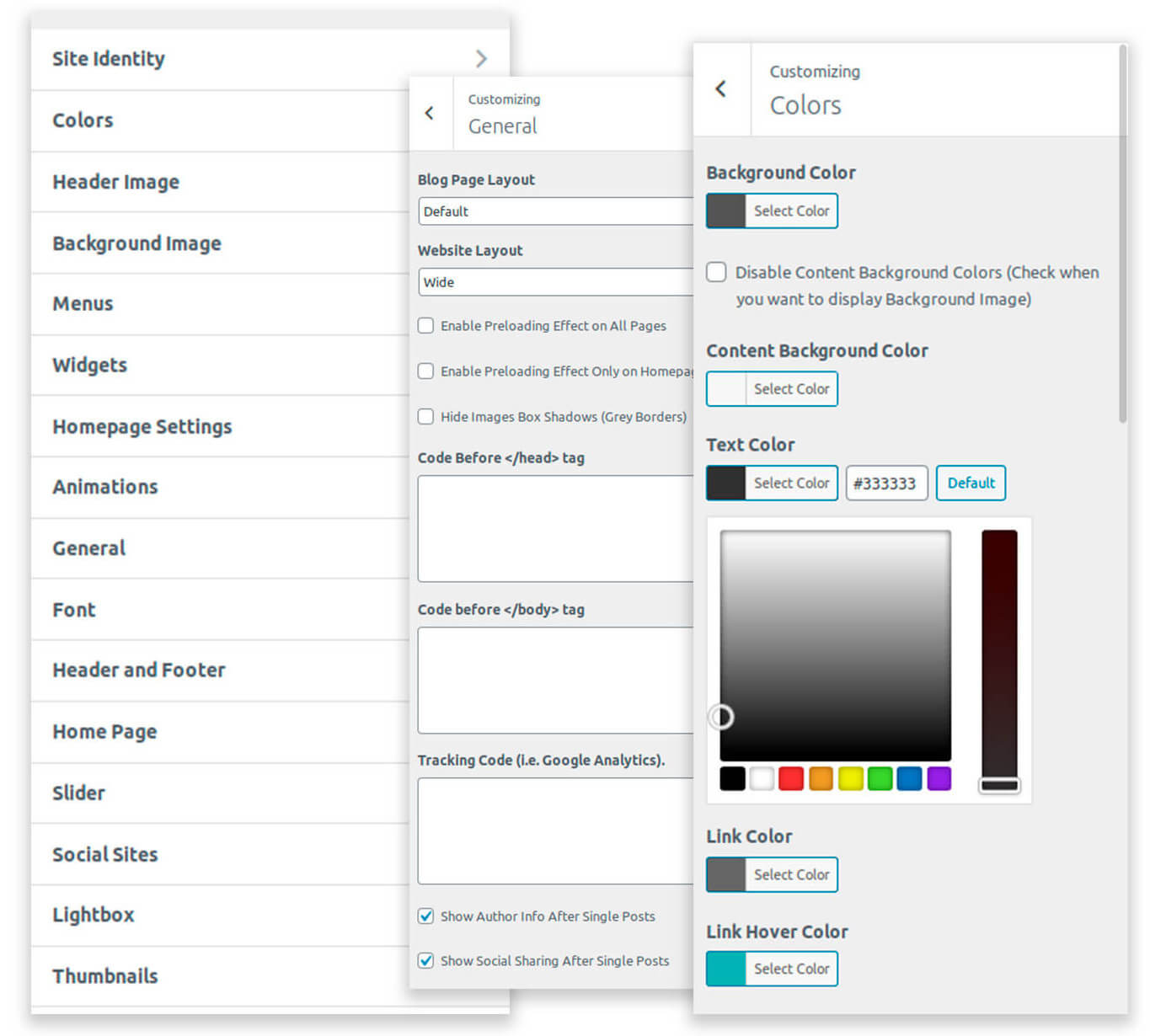 Customizer Options